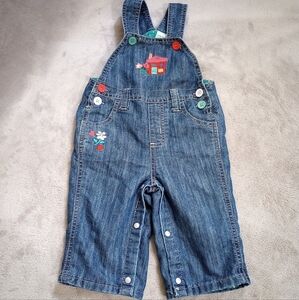 Infant Girls Pumpkin Patch Denim Embroidered Overalls 3-6 Mos